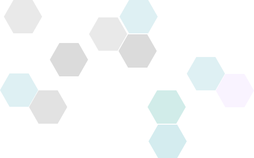 Geriatric Care Hexagon